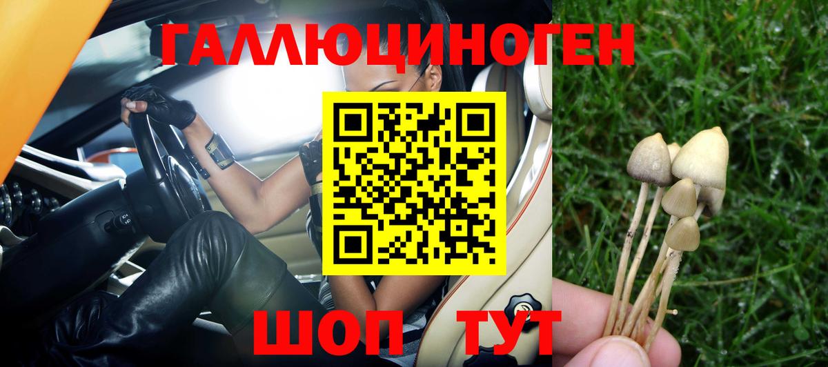 Артёмовский  Галлюциногенные грибы Psilocybe  Вход с VPN  Галлюциногенные грибы мицелий 